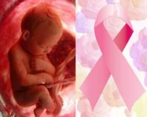 Estudios demuestran que aborto aumenta riesgo de cu00e1ncer de mama en mujeres.