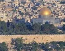 Obispos piden paz en Tierra Santa.