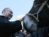 Cardenal Comastri bendice a un burro en la Plaza de San Pedro (foto ACI Prensa)