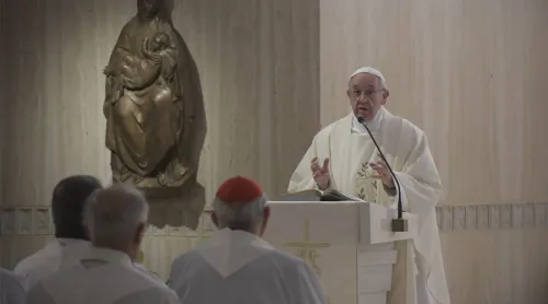 El Papa recuerda a los Obispos que deben cuidar el rebaño, no hacer carrera eclesiástica