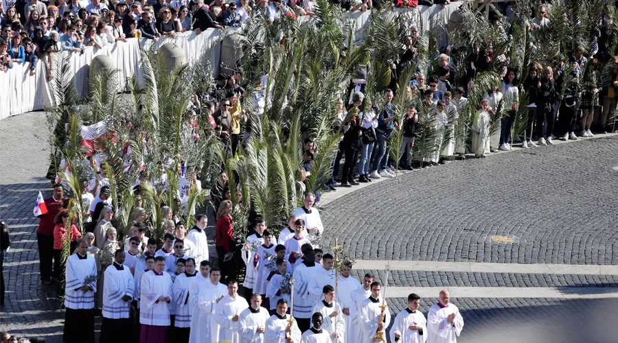 El Papa invita, en el Domingo de Ramos, a no rechazar la cruz
