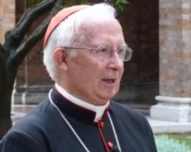 Cardenal Antonio Cau00f1izares Llovera