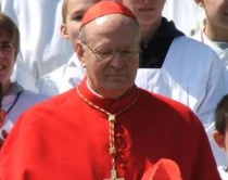 Cardenal Peter Erdo, Arzobispo de Esztergom-Budapest y Primado de Hungru00eda