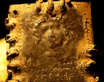 (foto David O'Neill / DK Images / Daily Mail)