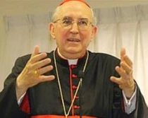 Cardenal Agostino Vallini
