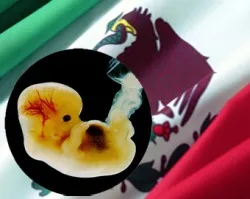 México: Inflan cifras sobre aborto clandestino para alarmar a población