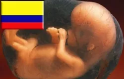 Experto desenmascara estrategia del lobby del aborto en Colombia