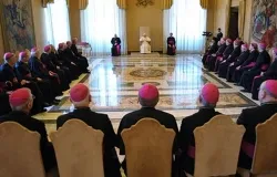 Evangelización no es obra de especialistas sino de todo el Pueblo de Dios, dice el Papa