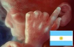 Pro-vidas logran suspender primer aborto no punible en Buenos Aires