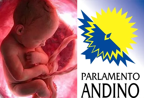 Duras críticas a Parlamento Andino por apoyo al aborto y discriminación contra católicos