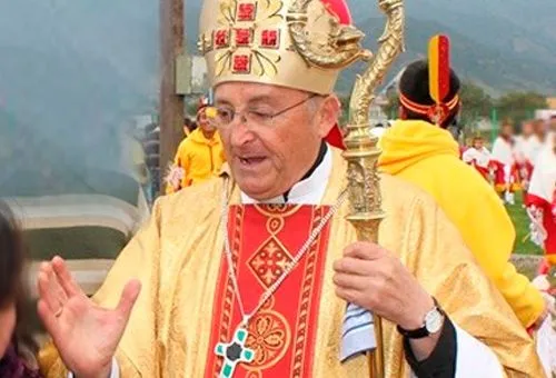 Mons. Cristián Contreras Molina (Foto ObispadoSanFelipe.cl)