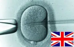 Destruyen 1,7 millones de embriones humanos en Gran Bretaña