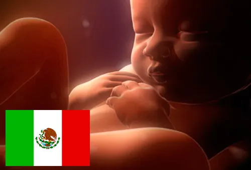 México: Ley de vientre de alquiler significará cosificar al embrión y a la mujer