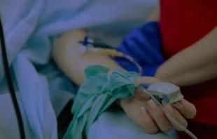 Eutanasia. Foto referencial: Unspalsh 