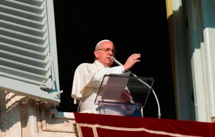 Papa Francisco / Foto: L'Osservatore Romano 