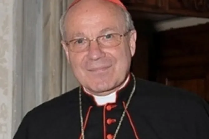 Cardenal Schönborn pide a sacerdotes disidentes "renunciar a desobediencia"