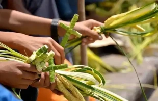 Imagen referencial. Crédito: Pixabay. null