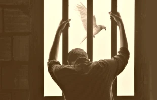 Imagen referencial. Cru00e9dito: Hasan Almasi / Unsplash. 