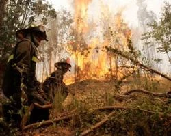 Arzobispo de Concepciu00f3n lanza llamado de solidaridad ante incendios en municipios de la regiu00f3n. ?w=200&h=150