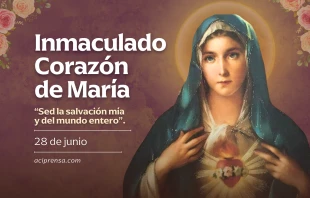 null Inmaculado Corazón de María 2025 / ACI Prensa