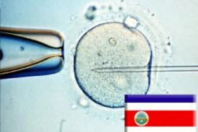 Expertas se pronuncian sobre fecundación in vitro en Costa Rica