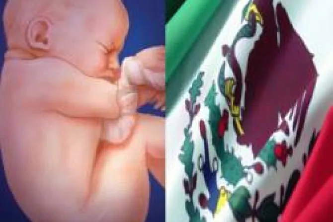 ONGs a favor que se consulte a mexicanos sobre aborto