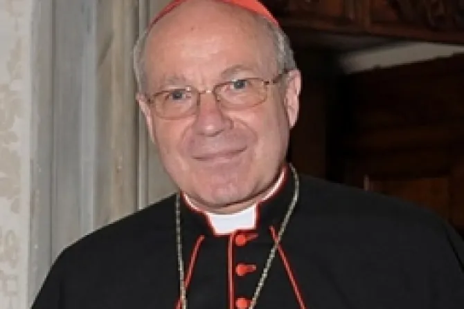 Cardenal Schönborn ratifica a joven gay en consejo parroquial en Viena