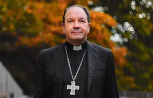 Mons. Juan Carlos Elizalde Espinal. Crédito: Sitio web de la Diócesis de Vitoria, España.