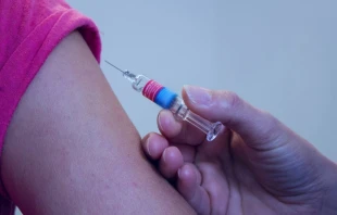 Imagen referencial. Cru00e9dito: Pixabay. 