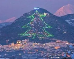 Con un iPad el Papa encenderá árbol de Navidad más grande del mundo