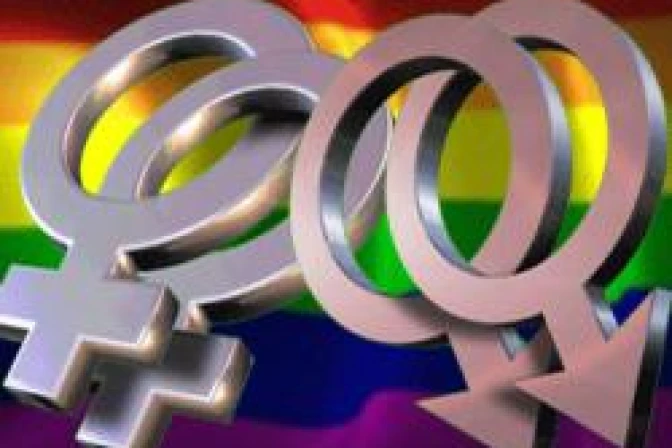 PP reconocería "derechos" de gays acatando lo que dicte el TC sobre matrimonio