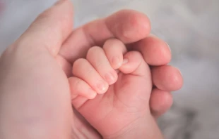 Imagen referencial. Cru00e9dito: Hu-chen / Unsplash. 