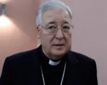 Mons. Juan Antonio Reig Pla.