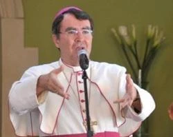 Mons. Christophe Pierre.?w=200&h=150