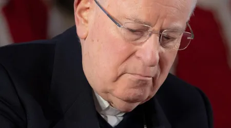 Cardenal llama a “detener la locura de la guerra” en Ucrania 