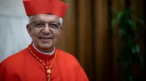 Cardenal Adalberto Martínez Flores. Crédito: Daniel Ibañez/ACI Prensa