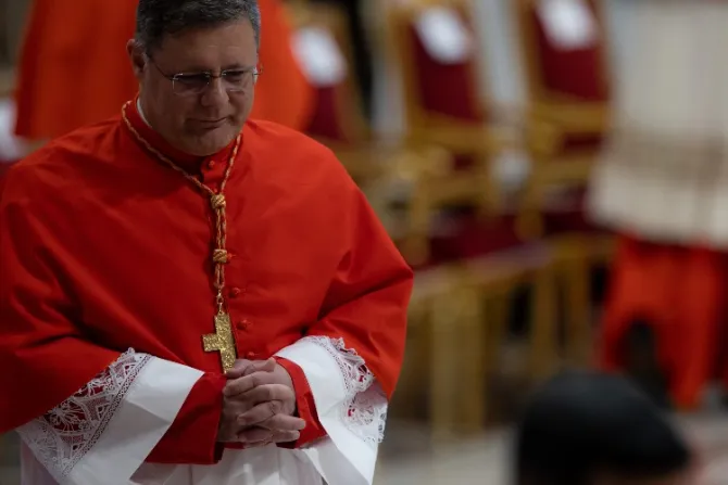 ¿Qué significa ser cardenal? Responde Paulo Cezar Costa, nuevo cardenal de Brasil