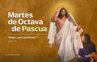 null Martes de la Octava de Pascua 2025 / ACI Prensa