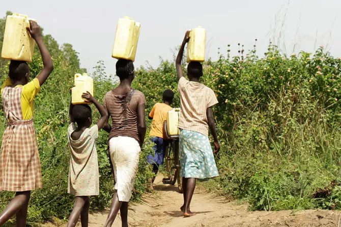 Agencia católica alerta: Etiopía afronta la peor hambruna en 20 años por falta de agua