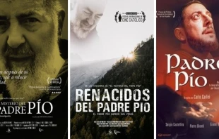 Captura de pantalla de portadas de pelu00edculas. 