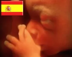 Foro de la Familia y Hazte Oir piden a Rajoy derogar ley del aborto