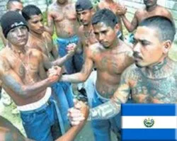 Posible freno a violencia de pandillas en El Salvador.?w=200&h=150