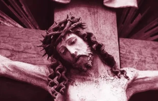 Imagen referencial. Cru00e9dito: Pixabay. 