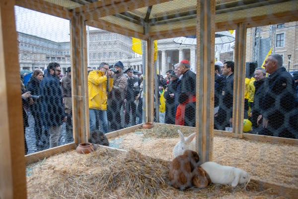 Los animales del Vaticano en el día de San Antonio Abad. Crédito: Daniel Ibáñez/ACI Prensa