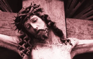 Imagen referencial. Cru00e9dito: Pixabay. 