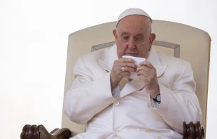 El Papa Francisco, durante una audiencia general en el mes de marzo de 2024. Crédito: Daniel Ibáñez / ACI Prensa.