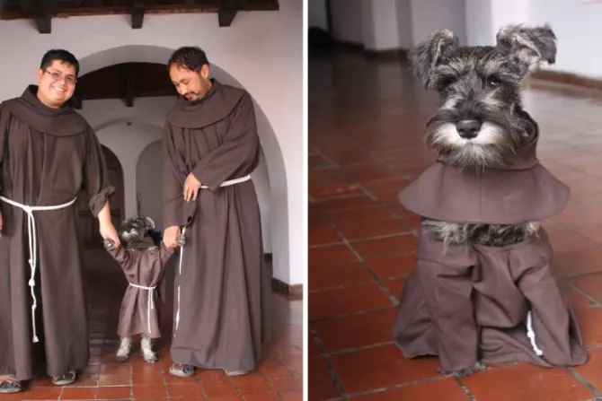“Fray Bigotón”, el perro que se robó el corazón de miles vuelve a ser viral