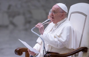 El Papa Francisco, durante una audiencia general en agosto de 2024. Crédito: Daniel Ibáñez / EWTN