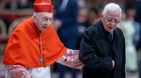 Cardenal Angelo Acerbi