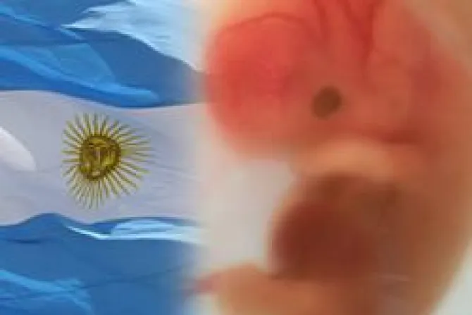 Argentina: Piden rechazar fecundación artificial por ser aborto encubierto